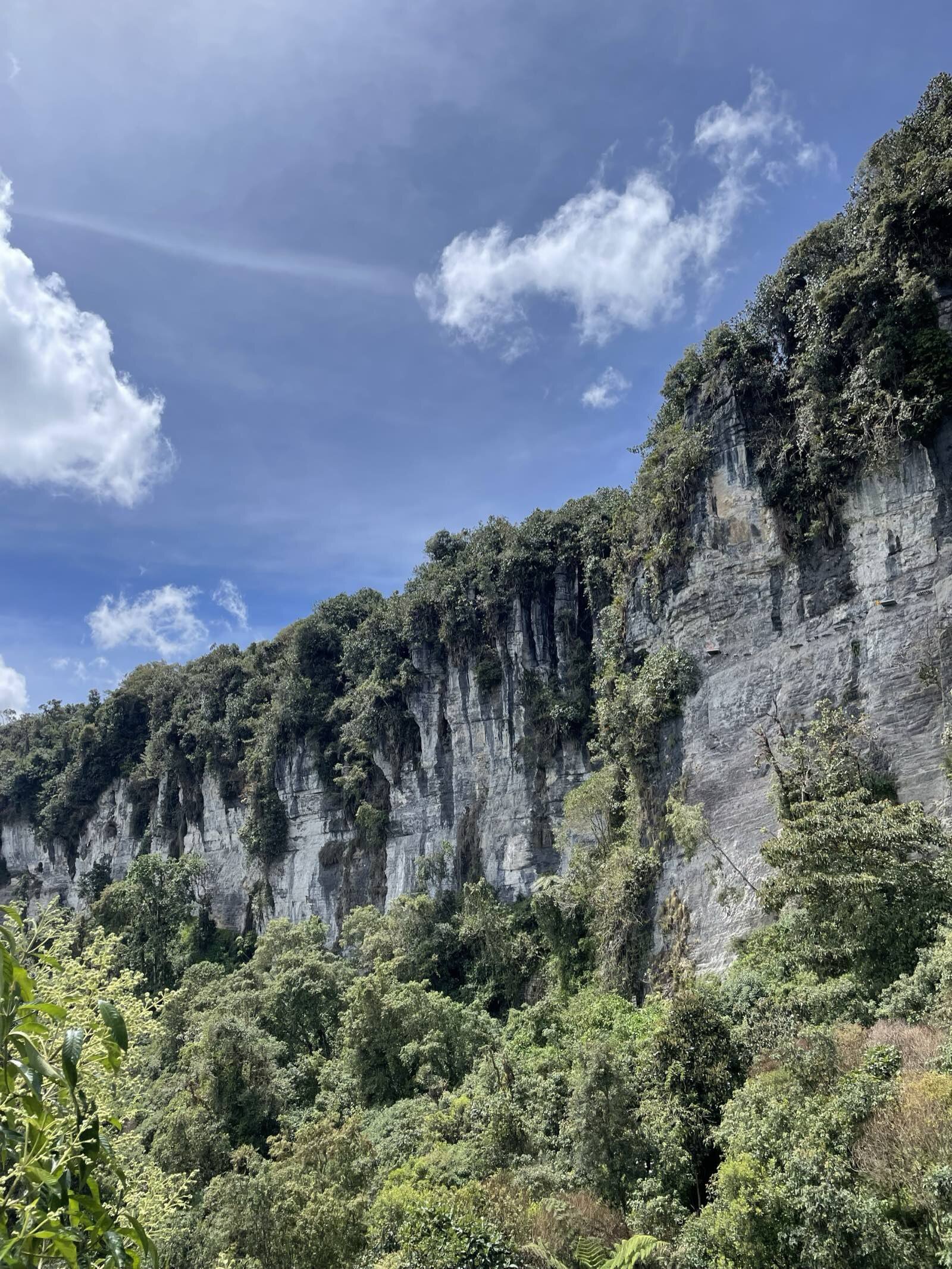 Acantilado de roca y selva del geoparque Bosques de Pandora