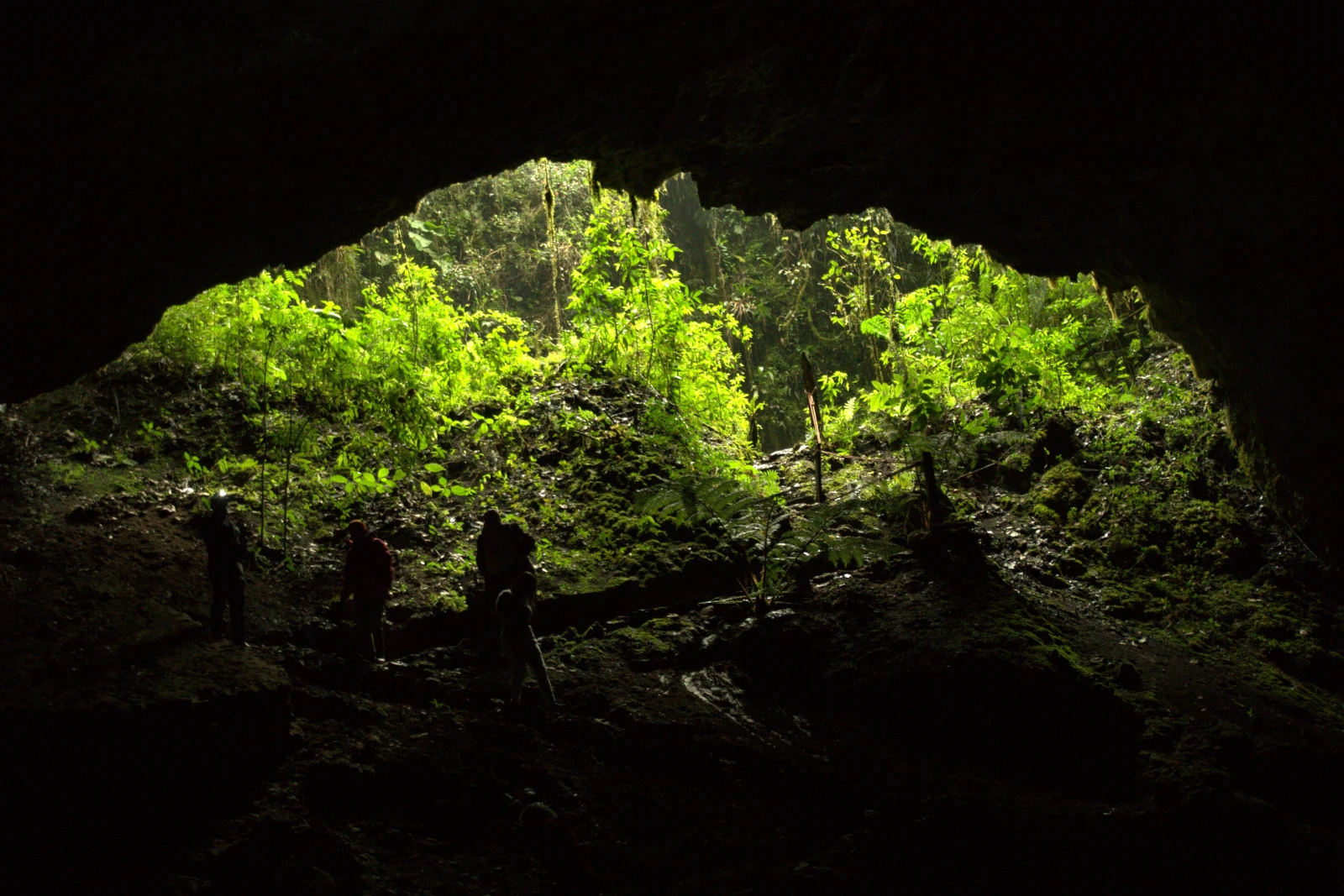 cueva santuario santander bosques de pandora cueva santuario santander bosques de pandora